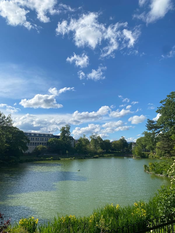 Daytime lakeside scene captured in Landau in der Pfalz