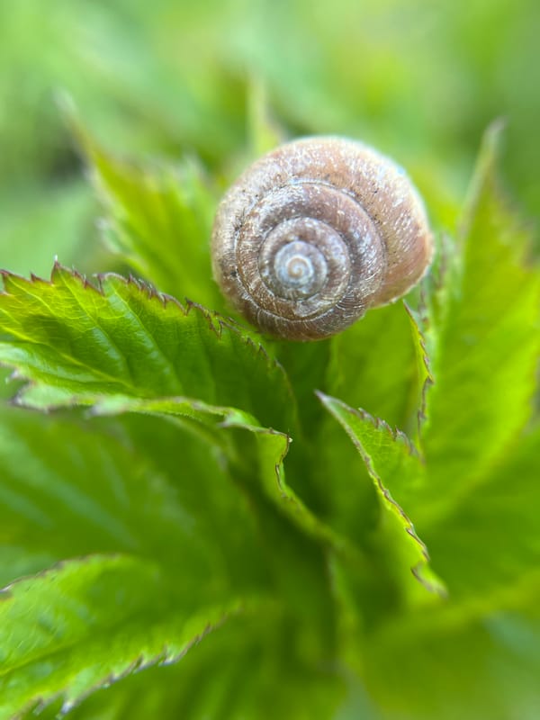 Nature photography session captures small wildlife in Zhigalki, Russia