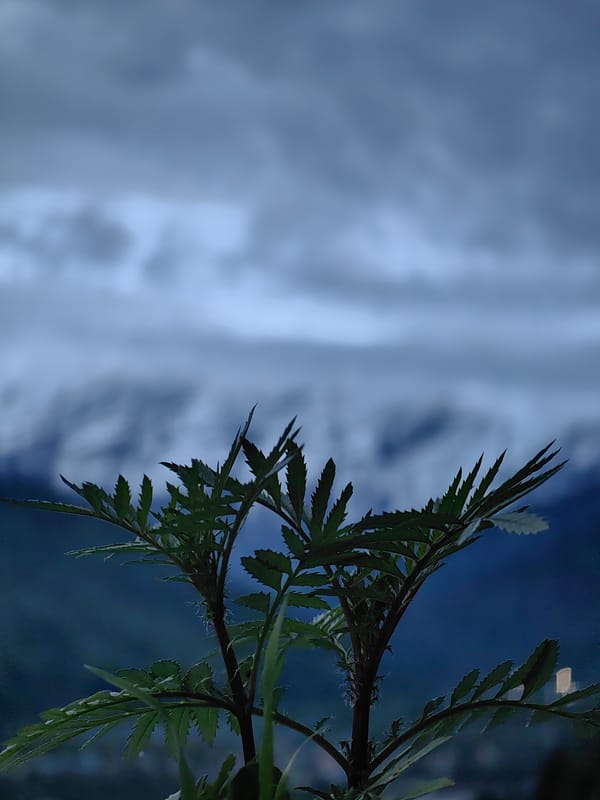 Twilight views of Vashisht village in the Himalayas