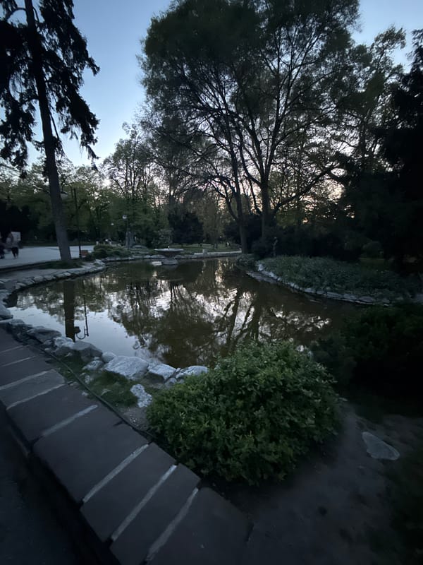 Evening scenes documented across Plovdiv parks and urban areas