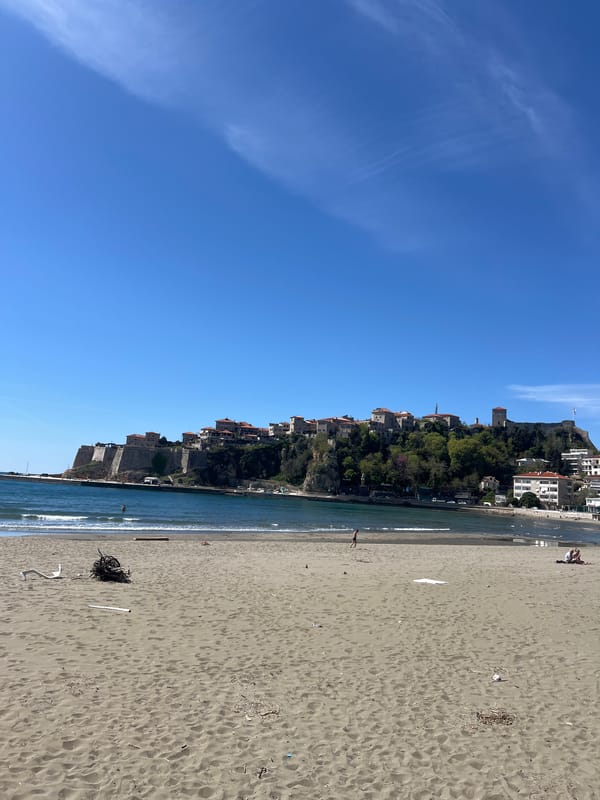 Coastal scene documented in Ulcinj, Montenegro showing beach debris