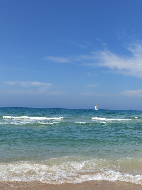 Morning beach activities documented along Tel Aviv coastline