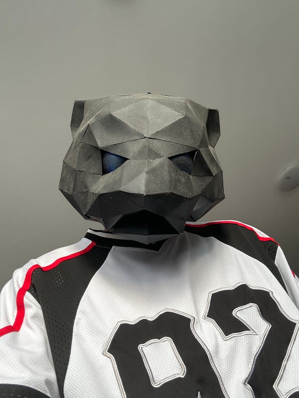 Geometric animal masks, black and white, spotted in Yekaterinburg