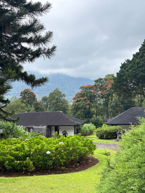 Morning coffee break captured in Sukasada garden setting
