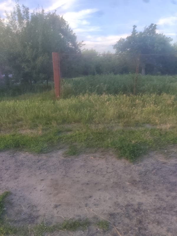 Evening walk through quiet rural roads and countryside at dusk