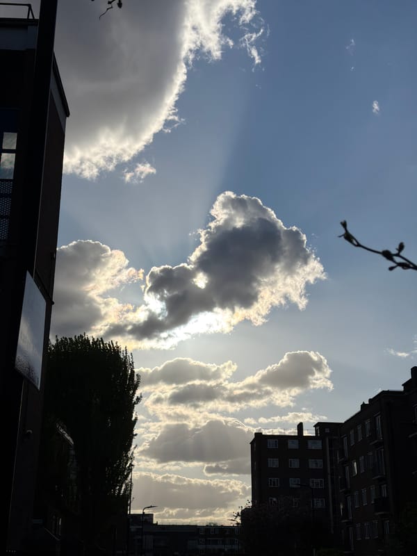 London witness captures spring weather, cherry blossoms during brief observation