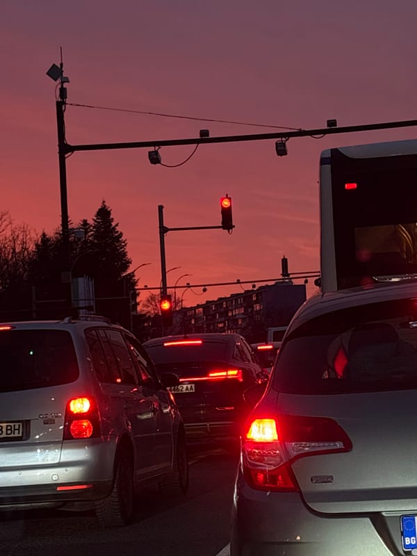 Woman observed in Volkswagen with teddy bear in Varna