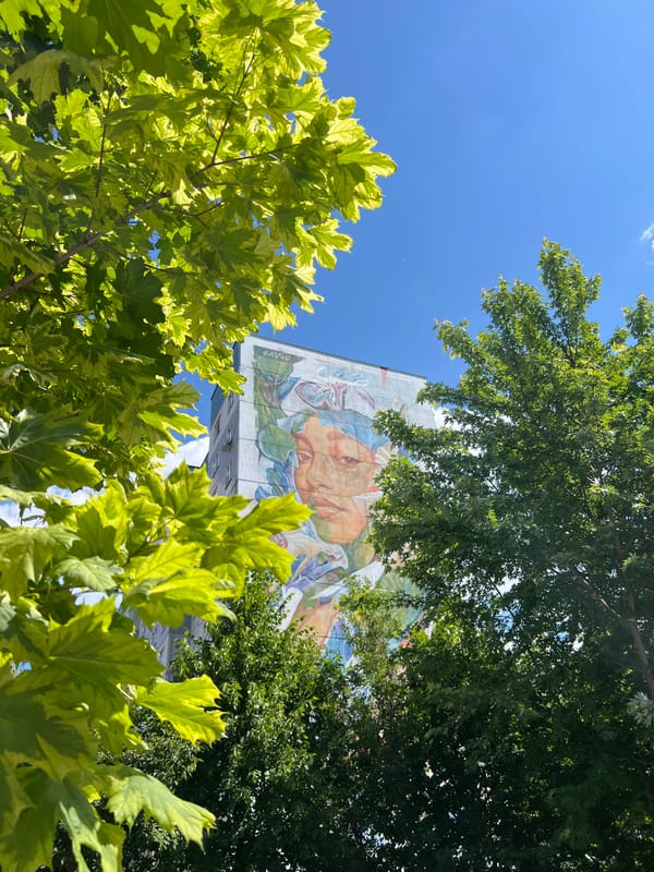 Morning walk through Kazan captures street art and sparrows