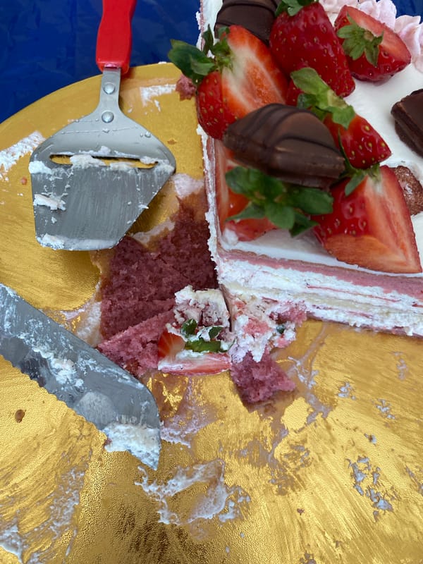 Domestic life documented in Czech home during afternoon