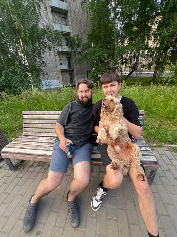 Casual summer evening in Chaikovsky, parks and pets