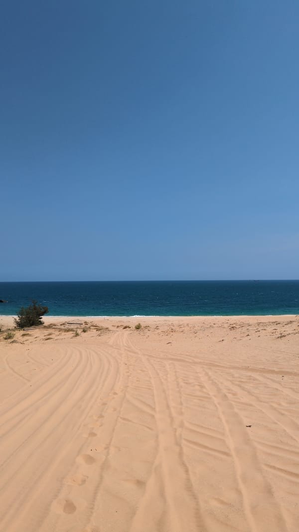 Beachside camping area spotted in Phuoc Dinh, Vietnam