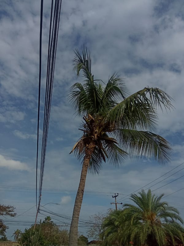 Witness captures everyday scenes around Juan Griego, Venezuela