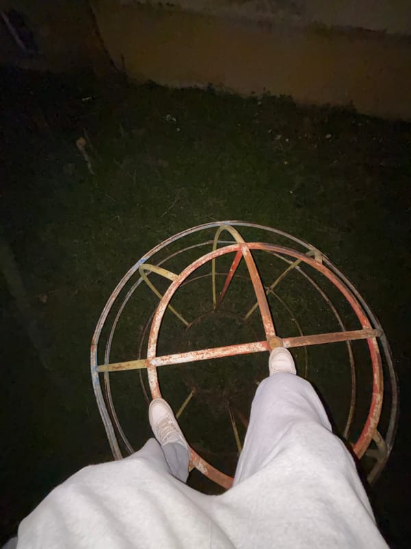 Late-night playground visit captured in Bulgaria