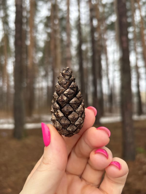 Early morning forest walk documented in Chaikovsky, Russia