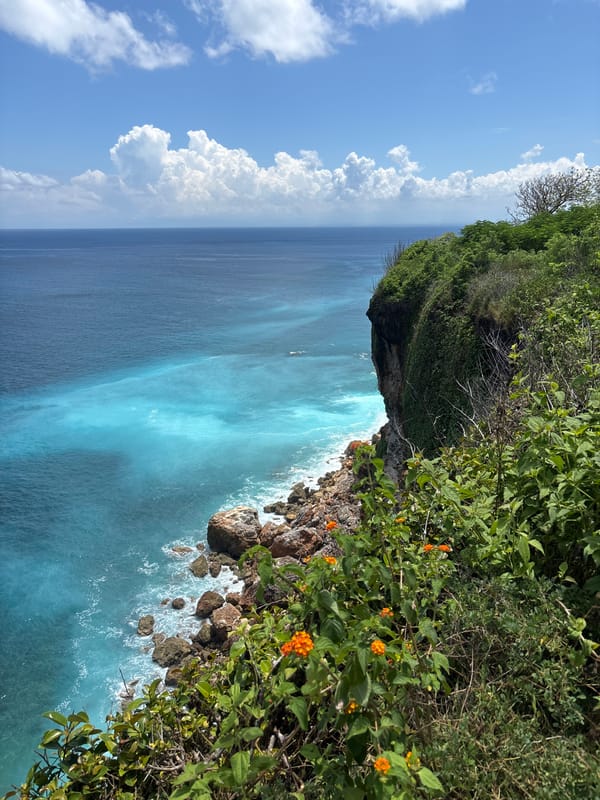 Stone pathway through wooded area captured in Uluwatu