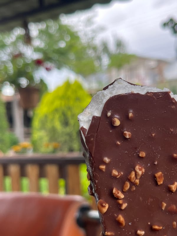 Everyday moments captured in Armenian village: ice cream, resting cat