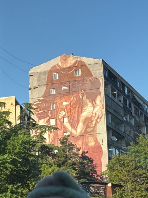 Renaissance-style mural spotted on Tbilisi high-rise building
