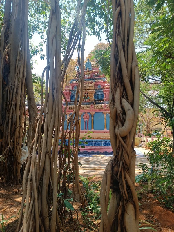 Traditional rural scenes documented in Puttaparthi India