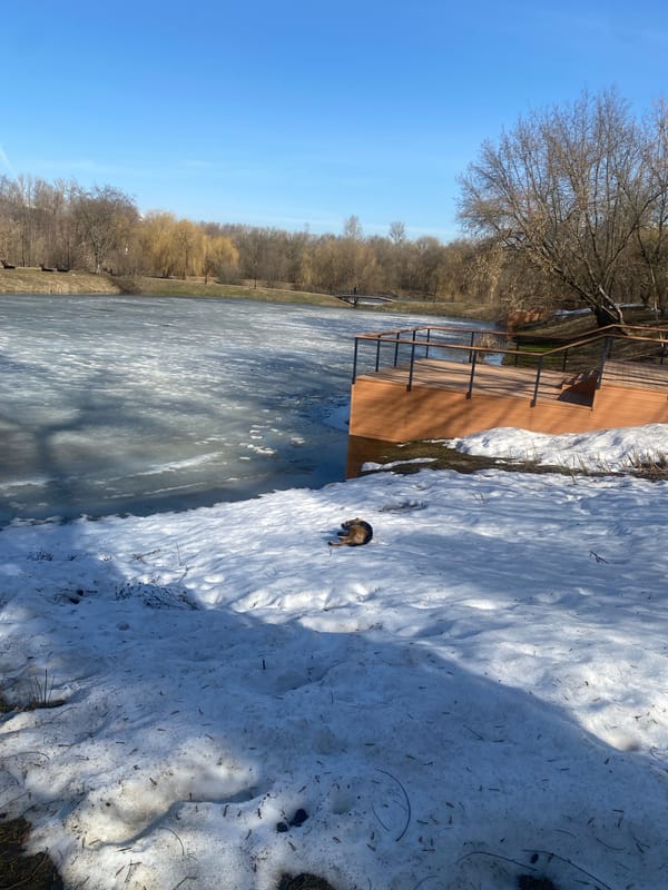 Moscow residents document early spring awakening in city parks