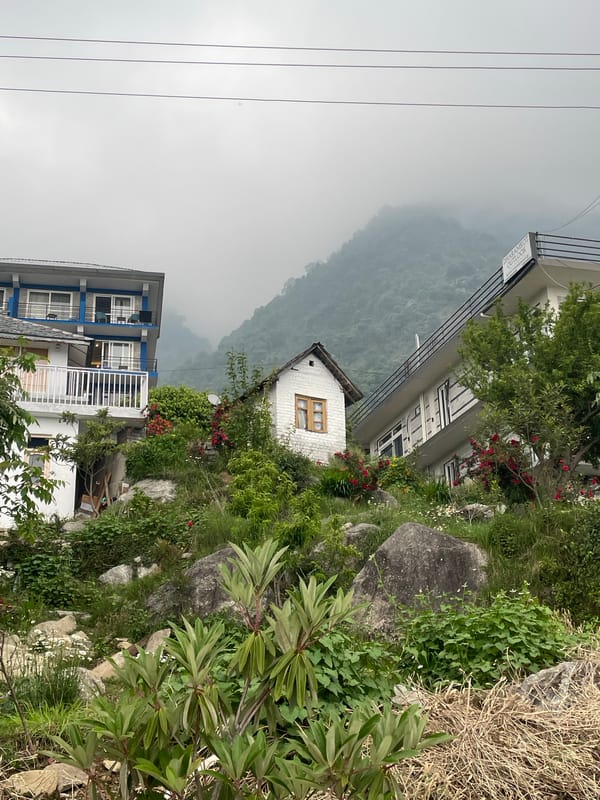 Elderly goat herder walks misty mountain road in Haini