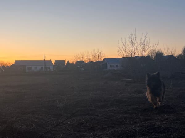 Rural scenes captured in Pavlovka: dog, Orthodox church
