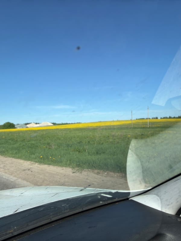 Rural landscape viewed from vehicle near Петровка, Russia