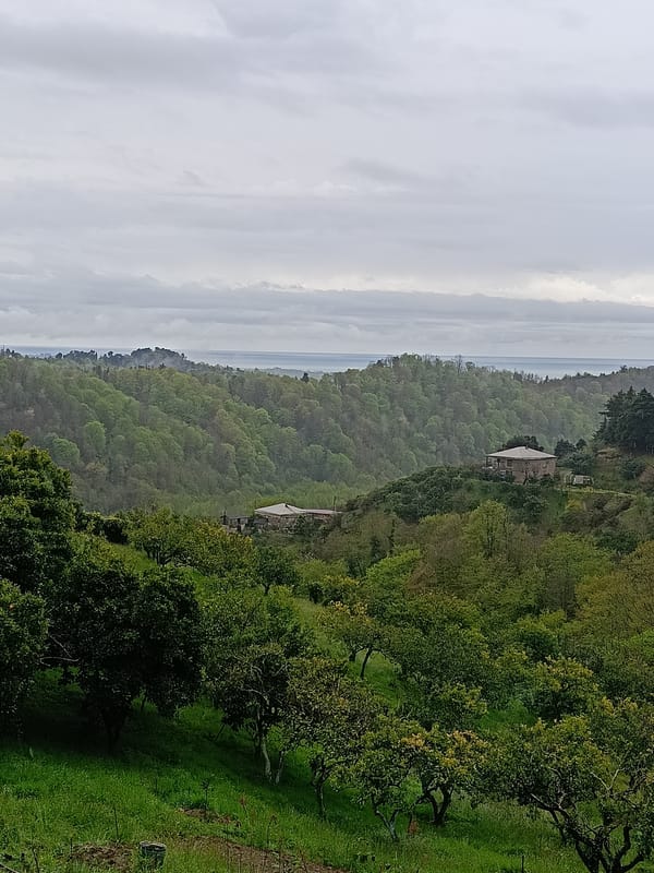 Overcast morning landscape captured in Yuada-Gulrypsh, Abkhazia