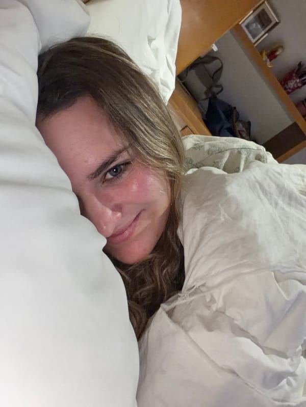 Woman plays with Yorkshire Terrier during quiet evening in Mexico