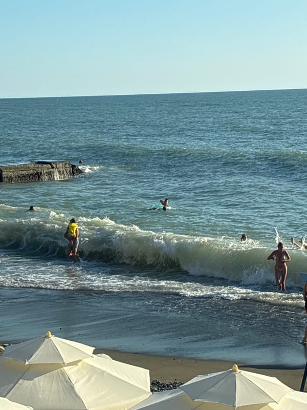 Sunny afternoon on Sochi's Black Sea beach, cat naps nearby