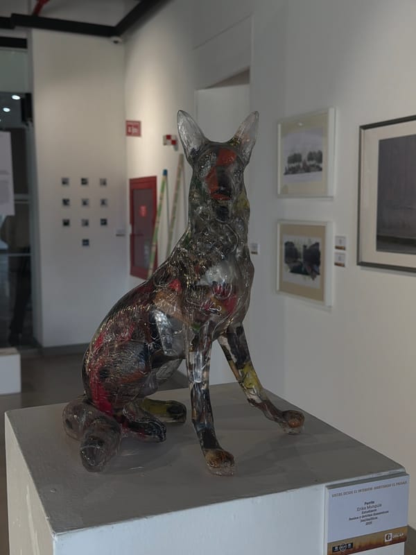 Contemporary art exhibition documented featuring mixed-media sculptures and photography