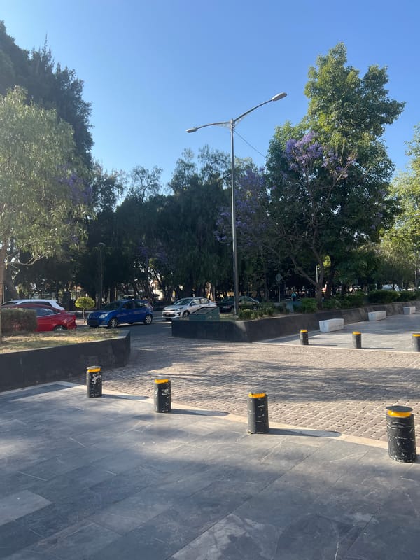 Sanitation worker cleans street in Puebla, Mexico
