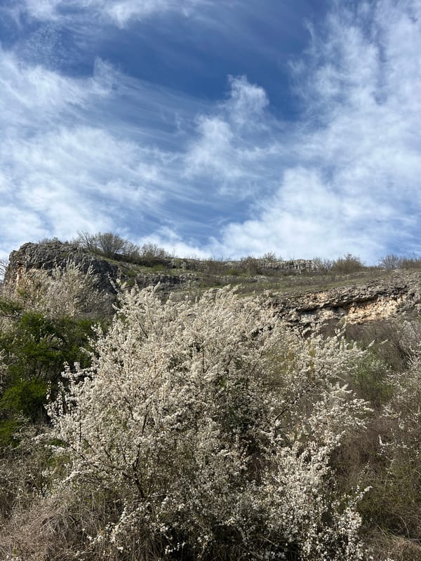Spring day captured near Gortalovo cliffs and wildflower fields