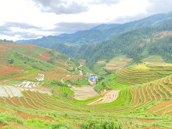 Terraced rice fields documented under overcast skies in rural Vietnam