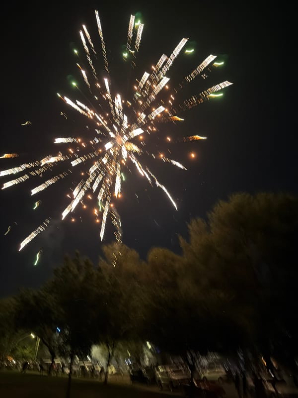 Fireworks display over a park on a July night