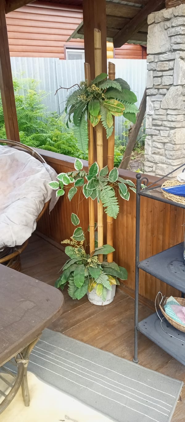 A backyard garden full of flowers, gnomes, and outdoor decor