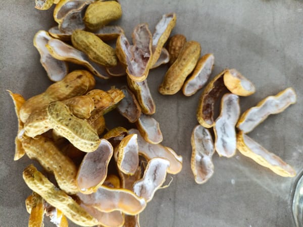 Peanut shells scattered on a textured surface in Indonesia