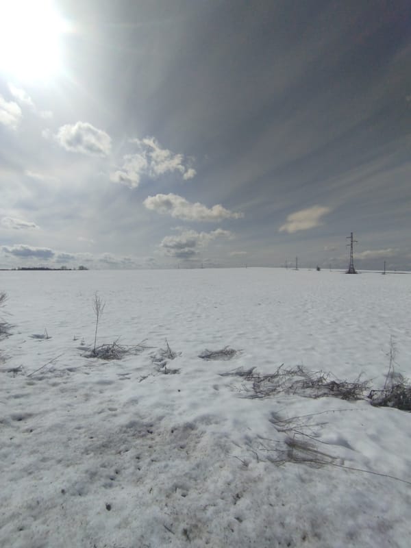 Woman documents winter morning in rural Grishanki, Russia