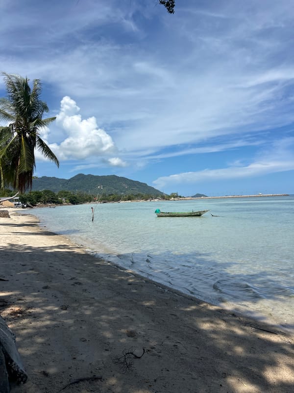 Morning life captured in Thai coastal community