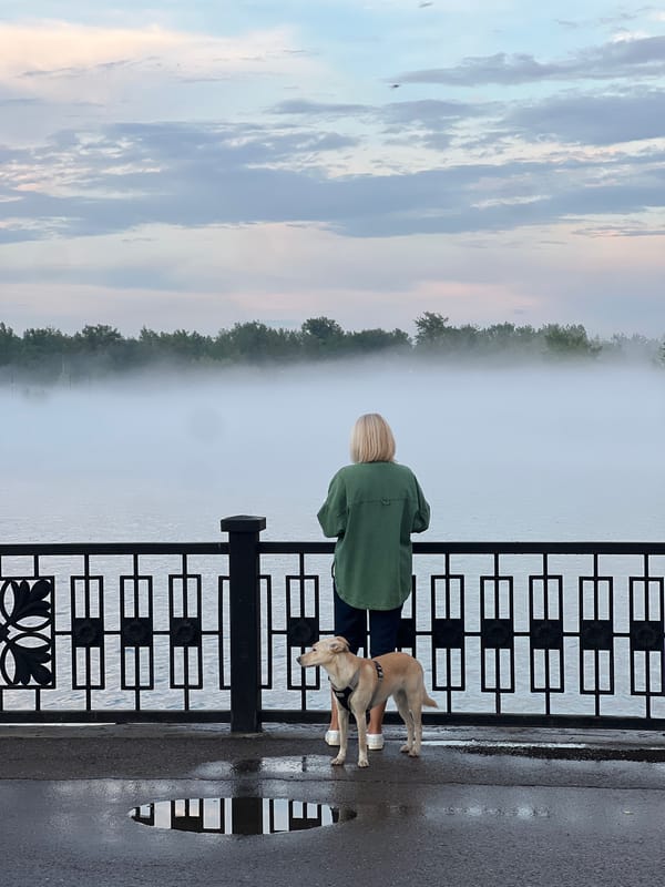 Foggy riverside walk near Krasnoyarsk's suspension bridge