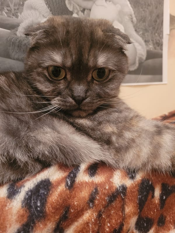 Everyday home moments documented across Izhevsk, Russia