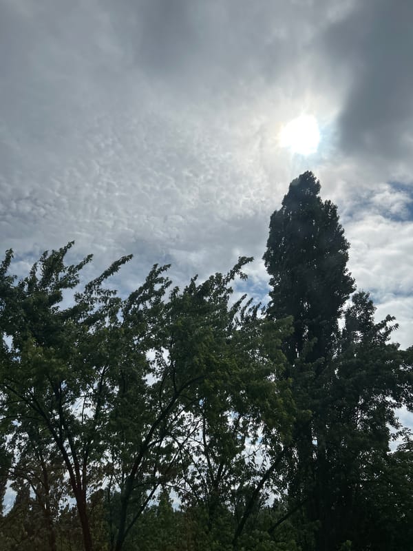 Morning snapshots around Kremenchuk: skies, household items, and LEGO collections