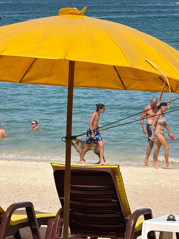 Lazy morning on a Ko Samui beach, chairs out, water calm