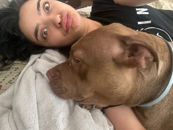 Lazy morning selfies with a brown pit bull in Malevo