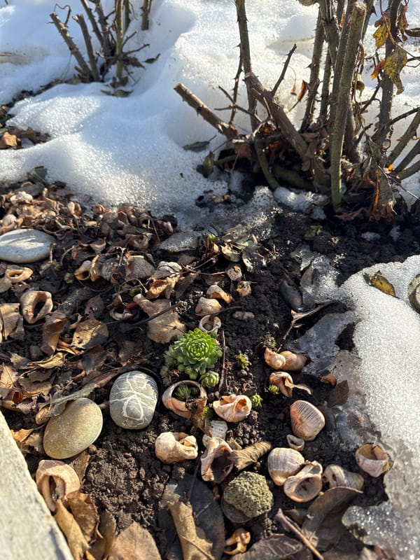 Spring morning in Chaikovsky: dog walks, cooking, nature