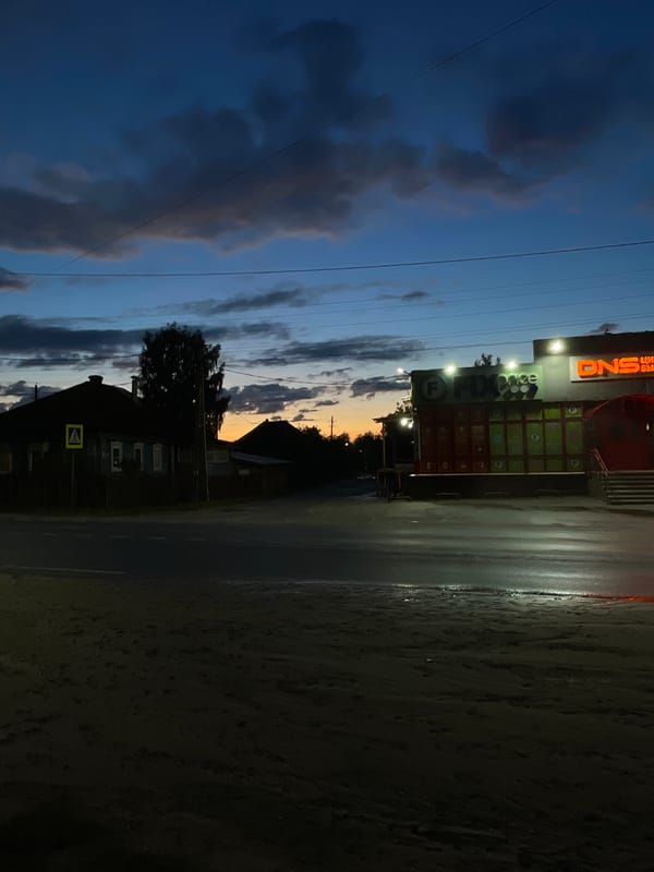 Twilight skies and blooming lilacs captured in rural Russia
