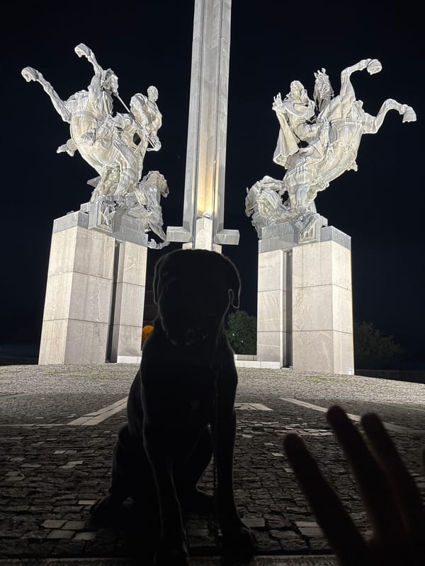 Mastiff and handler at Veliko Tarnovo's Asen Dynasty monument at night