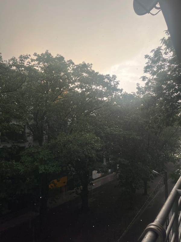 Rainy balcony views and a rabbit snacking indoors in Łódź