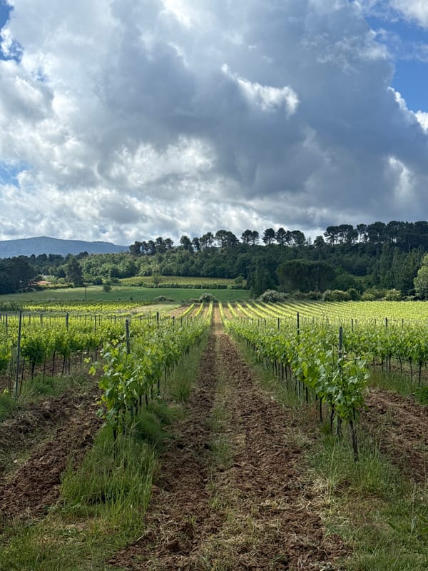 Spring agricultural landscapes documented in Rousset, France