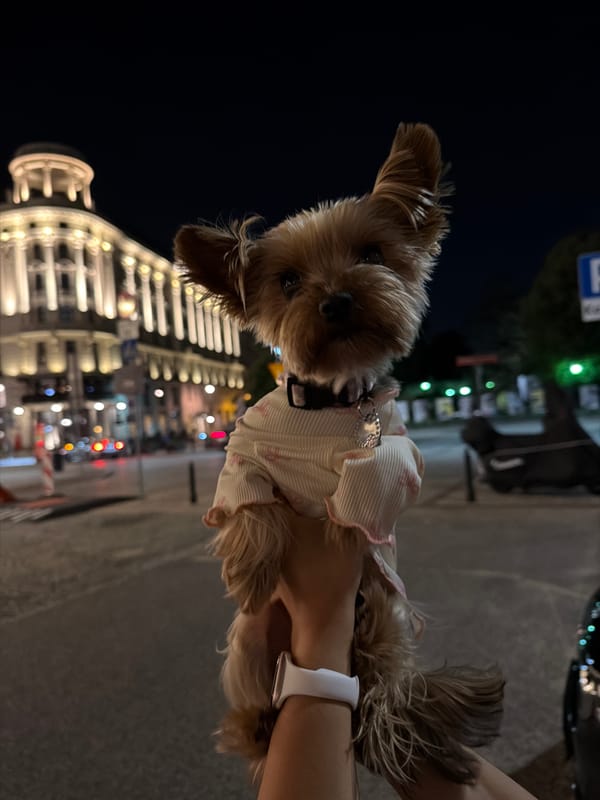 Late-night stroll through Warsaw's historic city center