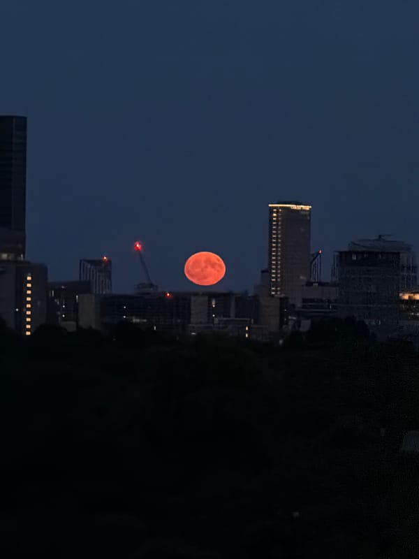 Big orange moon rising over London rooftops at dusk
